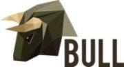 Bull